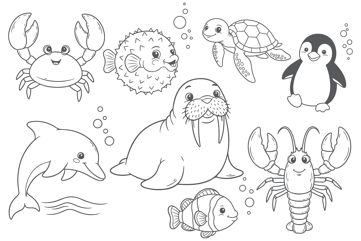 Cute Sea Animals Vector Line Art Set, an Animal Illustration by MkStudio