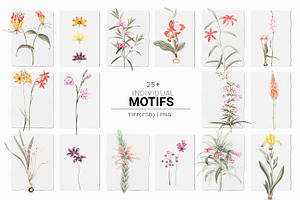 Botanical, Luxury Patterns & Motifs!