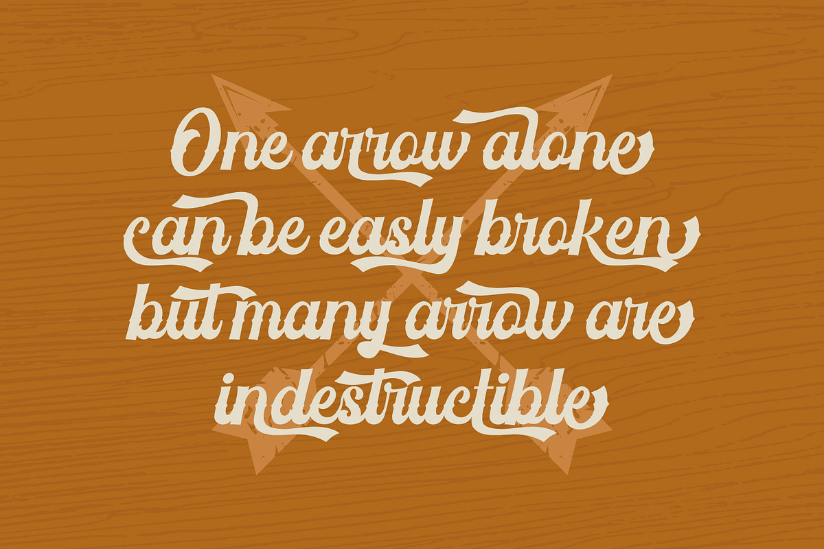 Vintage Feeling, a Script Font by Vintage Division (Photo 2 of 10)