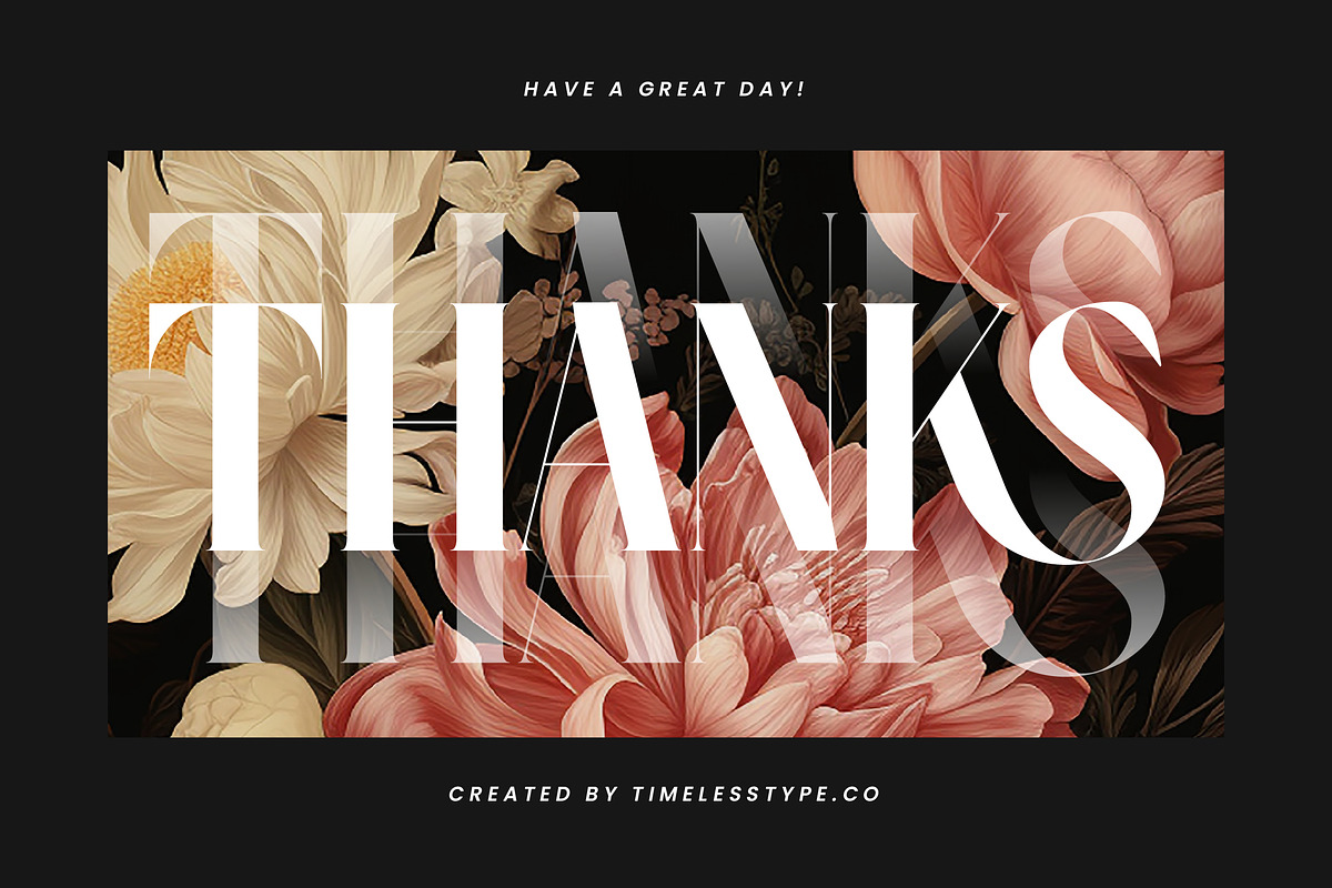Noresa Modern Editorial Serif, a Serif Font by timelesstype.co (Photo 20 of 20)