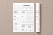 Google docs Resume Template, a Resume Template by Alice_s (Thumbnail 6 of 6)