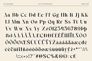 CS Chaya Drawn, a Serif Font by Craft Supply Co. (Thumbnail 8 of 8)