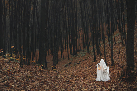 Spooky ghost holding glowing lantern in moody dark autumn forest, a Holiday Photo by Sonjachni