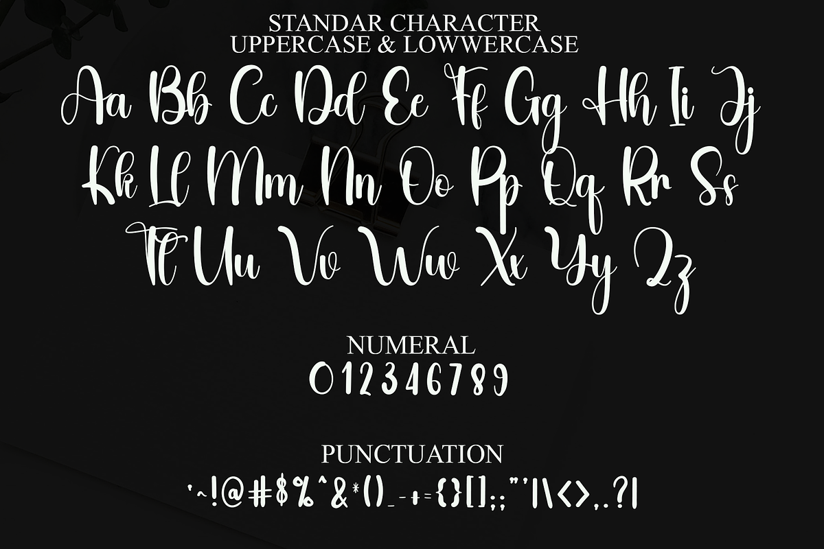 Thomshon, a Handwritten Font by FreshTypeINK (Photo 3 of 8)