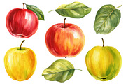 Harvest Thanksgiving fall clipart, a Decorative Illustration by Hanna Hryharenka (Thumbnail 15 of 20)