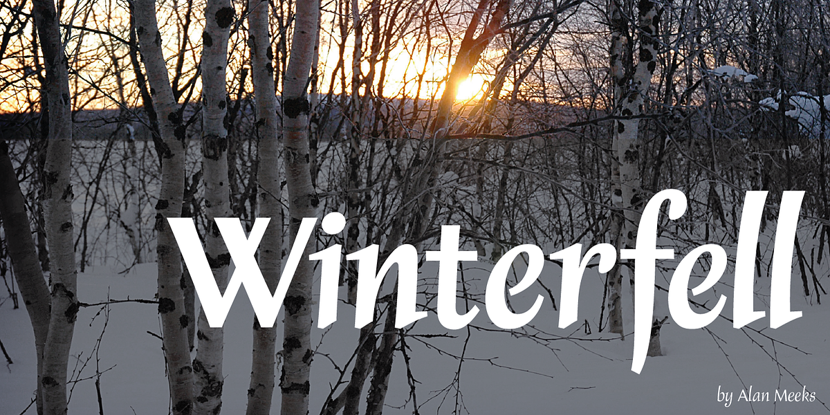Winterfell, a Serif Font by Alan Meeks Collection (Photo 1 of 4)