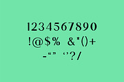 Palaestra Modern Display Serif Font, a Serif Font by UICreative (Thumbnail 6 of 13)