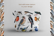 Forest Birds Watercolor Set, an Animal Illustration by AnitaPol (Thumbnail 21 of 26)