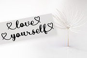 Perfect Script, a Script Font by Bosstype Studio (Thumbnail 2 of 8)