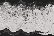 Twisted by Nature Vol 3, a Texture Graphic by Jennifer Lauren Creative (Thumbnail 7 of 16)