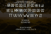 HUMMINGBIRDS, a Serif Font by InermediaSTUDIO (Thumbnail 3 of 9)