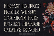 Dream Reacher Font, a Serif Font by Asenbayu (Thumbnail 2 of 12)