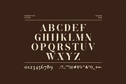 The Mivors Serif Font, a Serif Font by Perfectype (Thumbnail 8 of 8)
