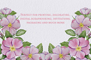 Rose Hip Flowers Clipart, a Decorative Illustration by Milla_Zelenyuk_art (Thumbnail 5 of 7)