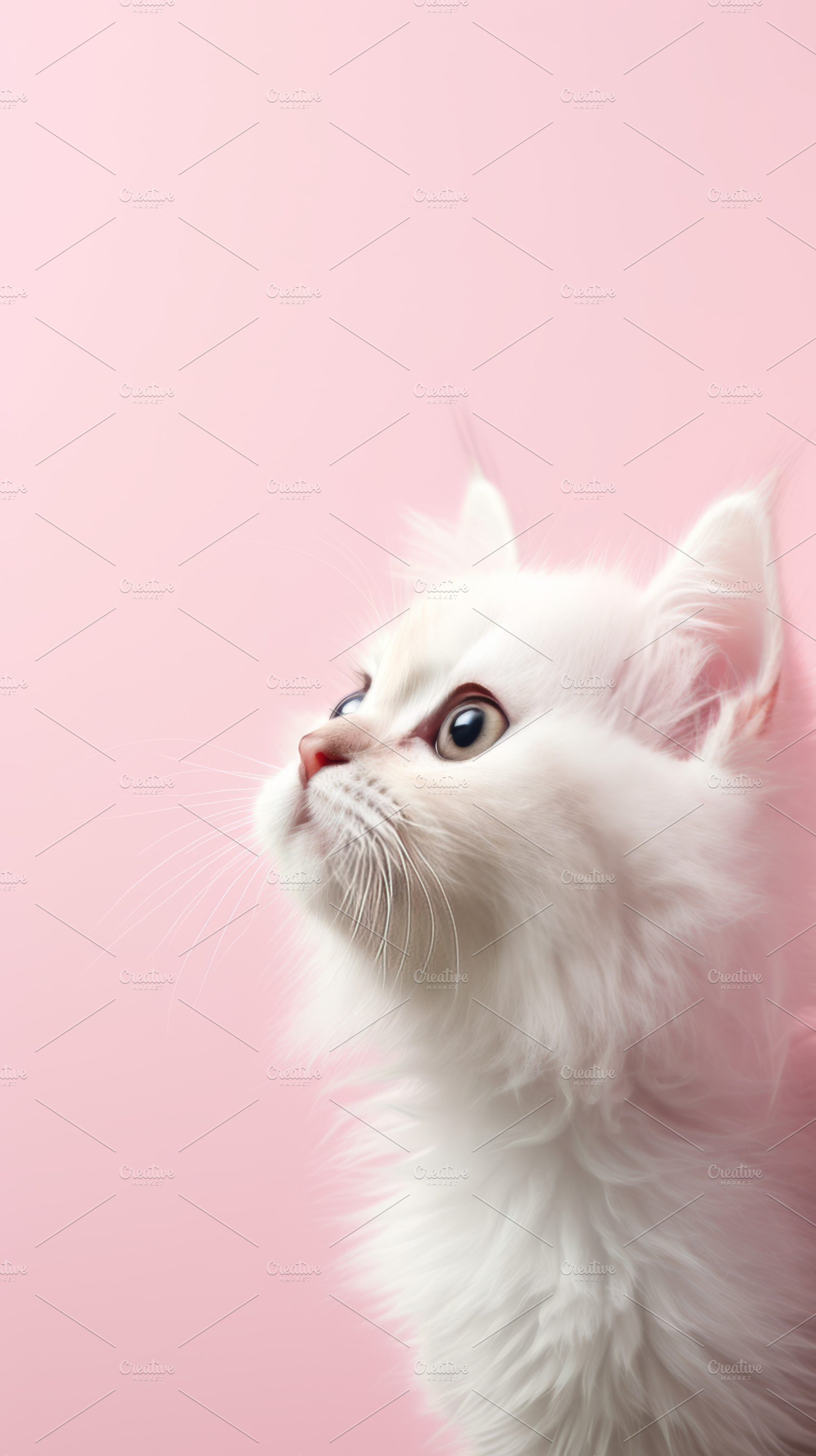 Beautiful white cat on a pink background, an Abstract Photo by Natalia Klenova's Shop
