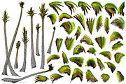 Palm tree collection (Vector), an Object Graphic by ArtOwl (Thumbnail 5 of 10)