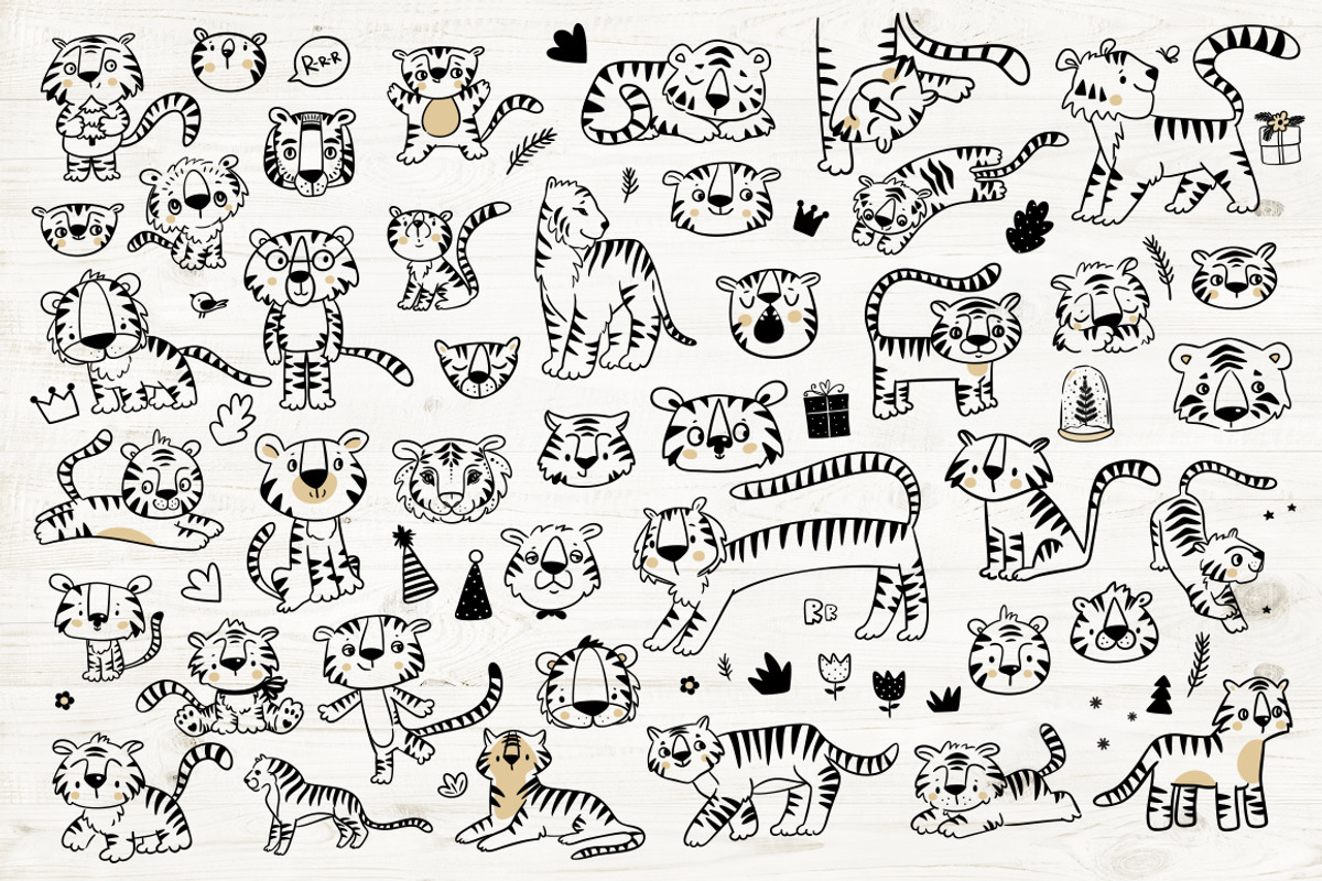 Tiger illustration, an Animal Illustration by Magic & Dreams (Photo 3 of 7)