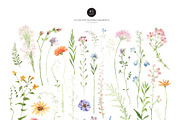 Watercolor AIRY WILDFLOWER Clipart, a Decorative Illustration by Beigetime (Thumbnail 3 of 16)