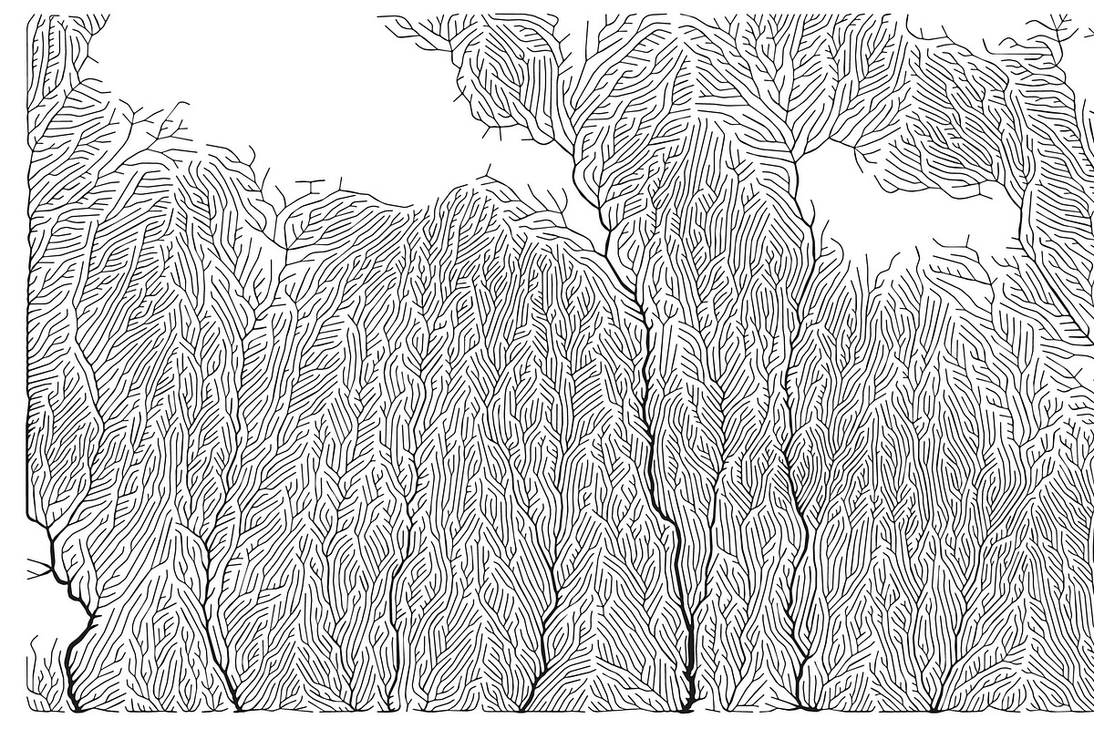 Growth - 50 Backgrounds, a Texture Graphic by GarryKillian (Photo 23 of 51)