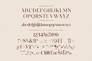 Adorage Modern Ligature Typeface, a Serif Font by Storytype Studio (Thumbnail 12 of 15)