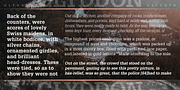 Glyddon, a Slab Serif Font by FontSite Inc. (Thumbnail 2 of 2)