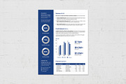 Factsheet Template, a Flyer Template by BrandPacks (Thumbnail 2 of 5)