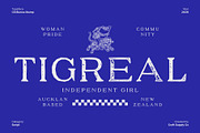 CS Bianca Stamp, a Serif Font by Craft Supply Co. (Thumbnail 6 of 8)