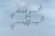 Selvia Font Duo, a Script Font by danti (Thumbnail 8 of 8)