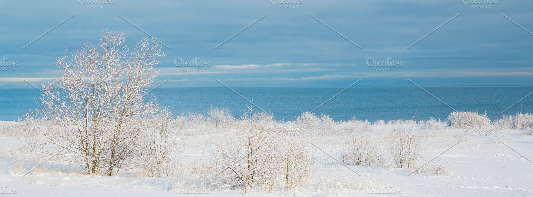 Snow covered coast with frozen trees near blue sea in winter, mi, a Photo by Pictures for you!!!!!!!!!