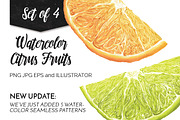 Watercolor Citrus Fruits, a Food Illustration by Curve and Pixel (Thumbnail 4 of 4)