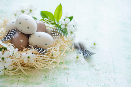Easter eggs in straw nest, a Holiday Photo by Olena Rudo