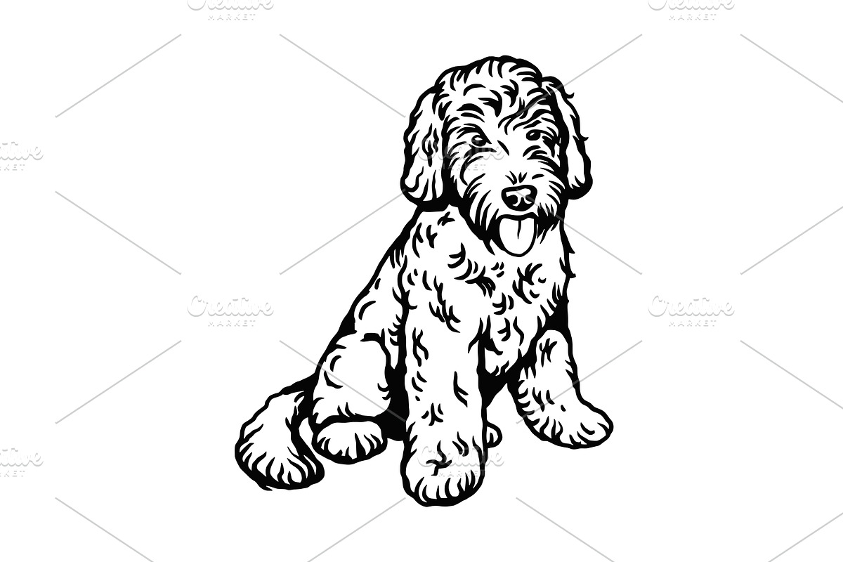 Labradoodle Mix dog - vector, an Animal Illustration by Digital-Clipart