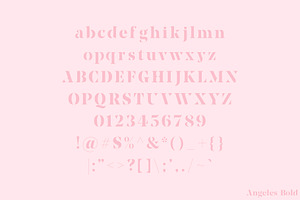 Angeles A Serif Font Family