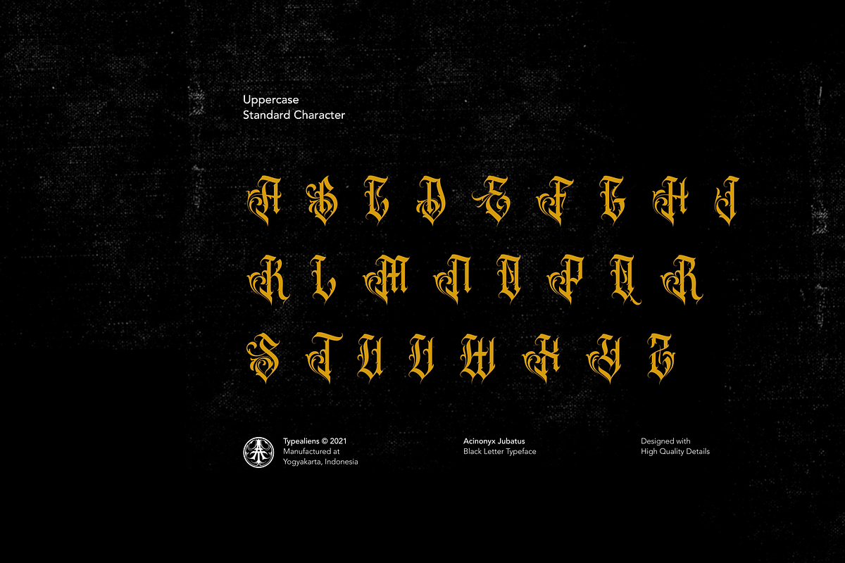 Acinonyx Jubatus, a Blackletter Font by ilhamtaro (Photo 8 of 10)