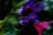 Dark bloom. Floral Backgrounds, a Background Graphic by PaperJamLab (Thumbnail 13 of 14)