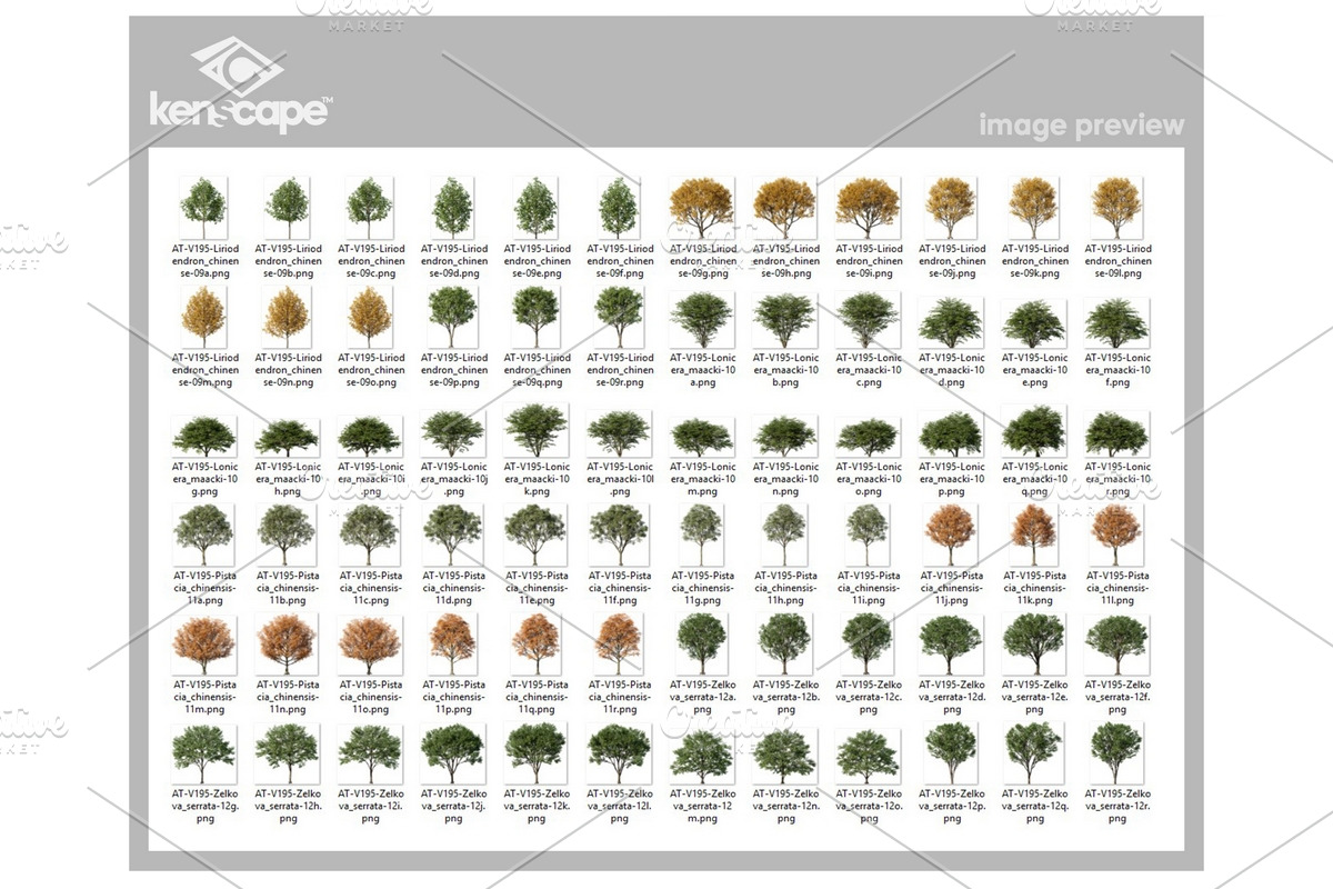 72 Assorted Trees Photo Overlays, a Nature Photo by KenScape (Photo 3 of 3)