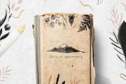 Her Day Collection, a Texture Illustration by Julia Dreams (Thumbnail 6 of 13)