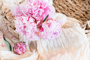 Pink peony stock photo bundle containing pink, peony, and fowers, a Business Photo by Savvy Stock Shop (Thumbnail 12 of 16)