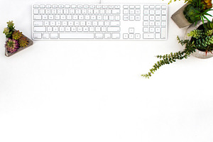 Styled Stock Photography Succulents