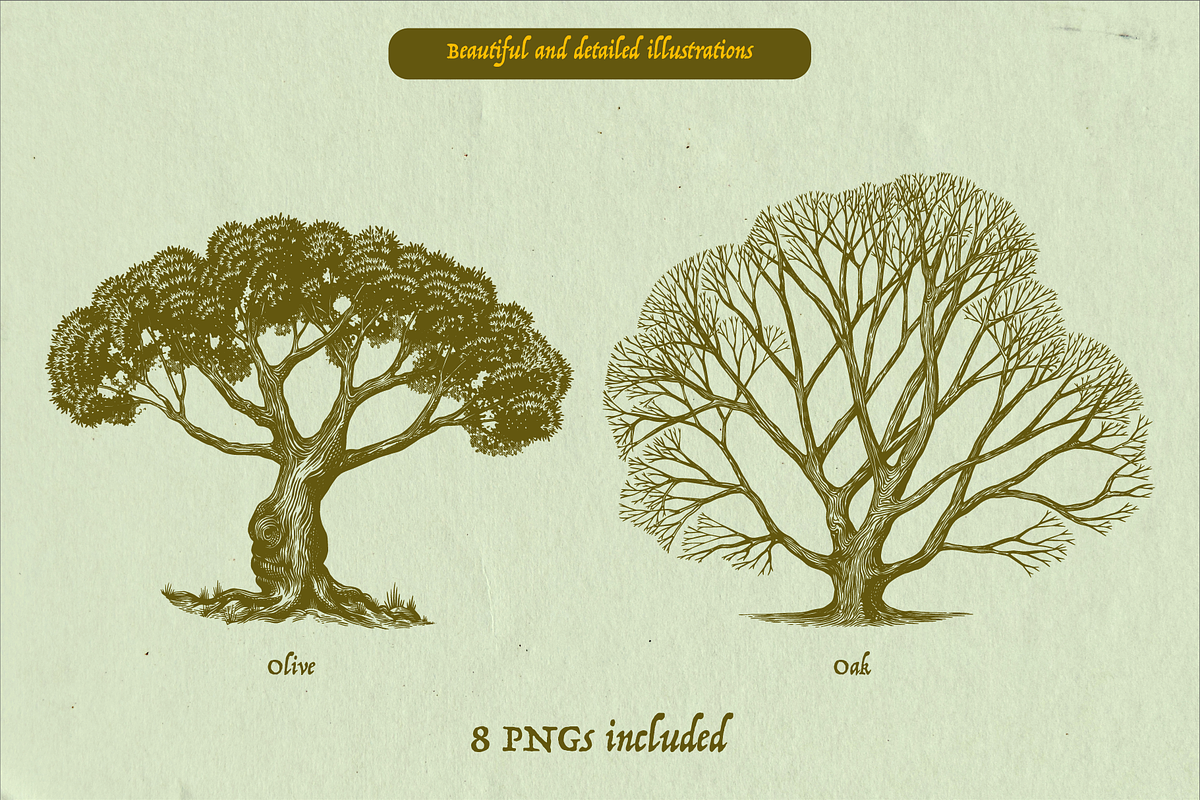 Oak Tree engraving Bundle, an Object Illustration by Arthur Balitskiy (Photo 3 of 4)