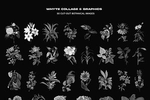 WHYTE Collage And Graphics