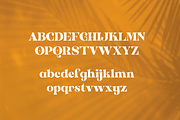 Antigua - Tropical Display, a Serif Font by HipFonts (Thumbnail 2 of 11)