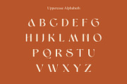 Moana Falisa – Modern Elegant Serif, a Serif Font by WhymoreArt (Thumbnail 9 of 11)