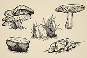 Nature Forest Hand drawn Elements #2, an Illustration by Artolabs (Thumbnail 6 of 6)