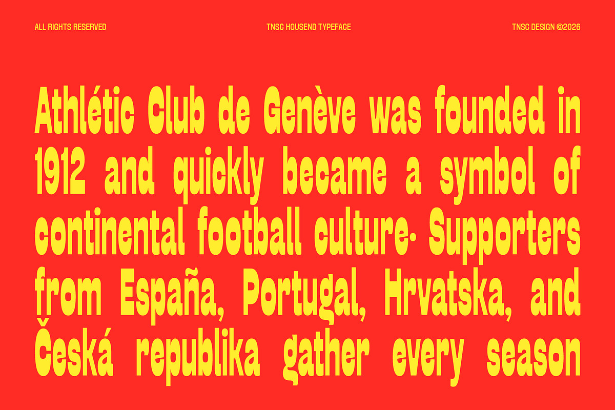Housend - Condensed Sans Serif, a Sans Serif Font by The Native Saint Club (Photo 12 of 12)