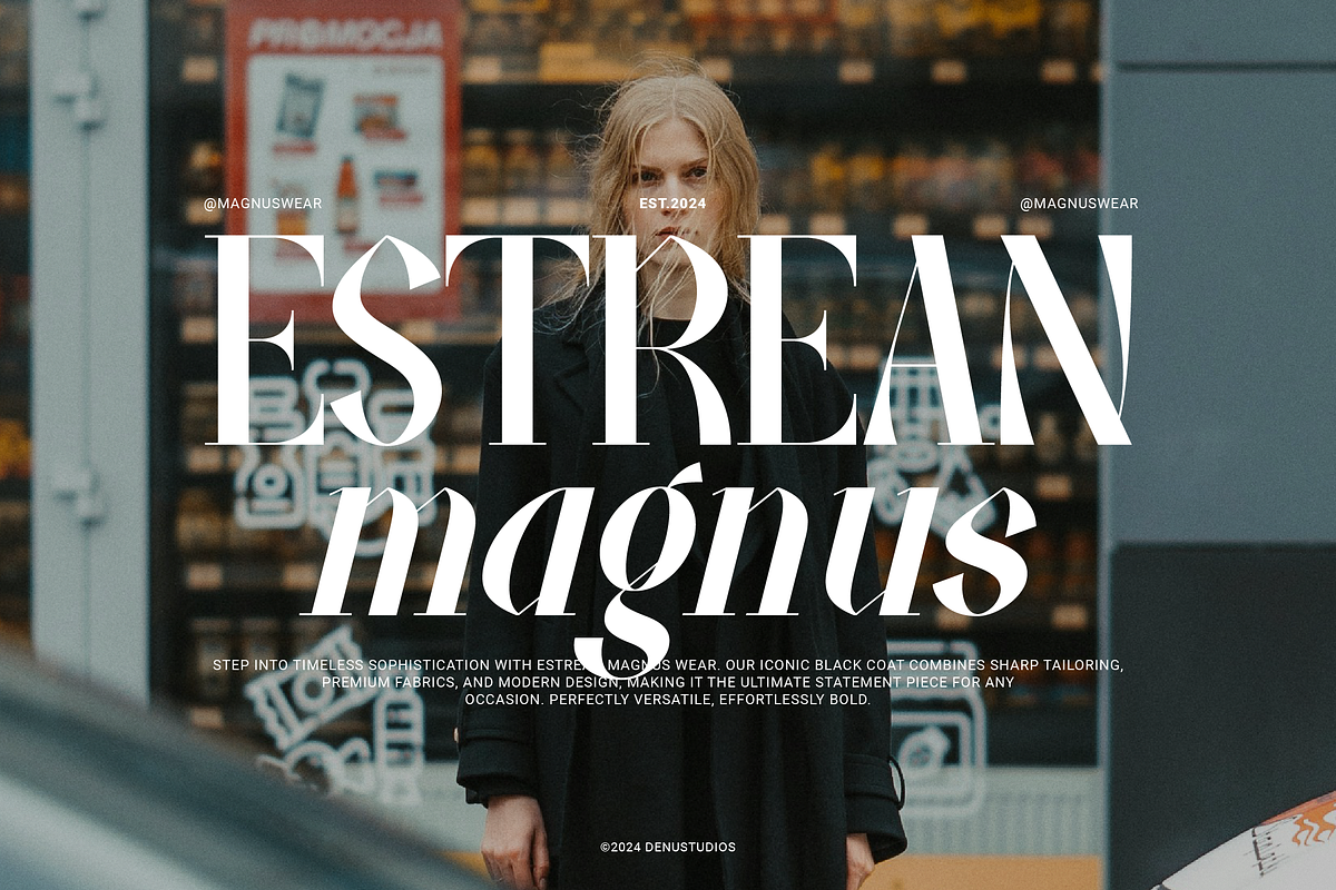 Fiably Manor | Modern Display Serif, a Serif Font by Denustudios (Photo 4 of 13)