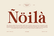 Movita Stylish Font Typeface, a Serif Font by OV Type (Thumbnail 6 of 10)