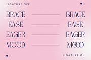 Nogite Modern - Branding Logo Font, a Serif Font by Nirmana Visual (Thumbnail 12 of 14)