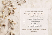 Newborn Ultimate Canva Business Pack, a Templates & Theme by Princess & the Pea Design (Thumbnail 5 of 7)