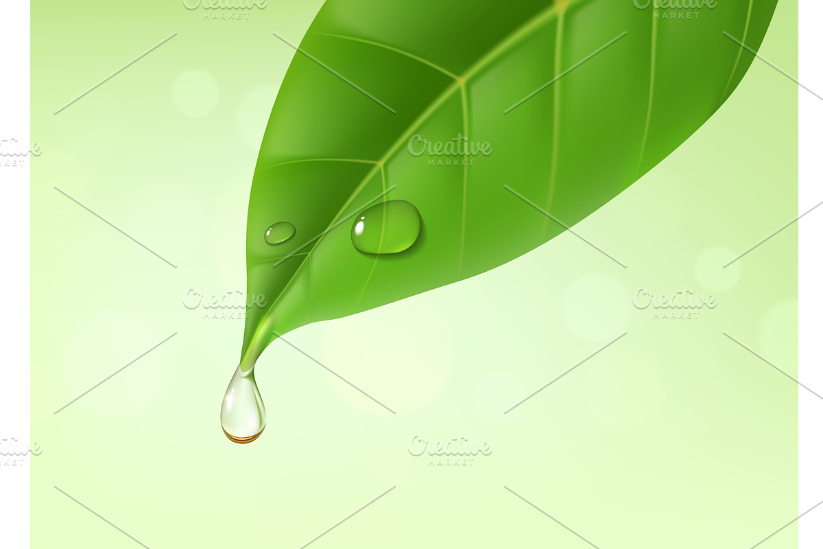 Green leaf with essential oil drop, a Decorative Illustration by Vector Tradition